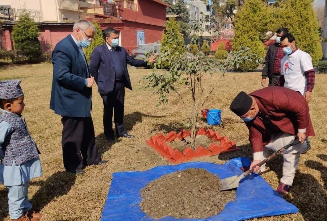 Israeli Holiday, Tu Bishvat (The New Year for the Trees) 